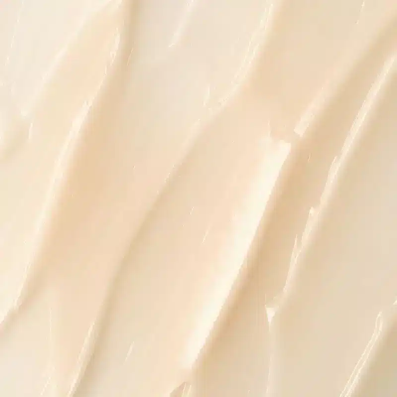 MY PAYOT Regard - PAYOT – Image 3