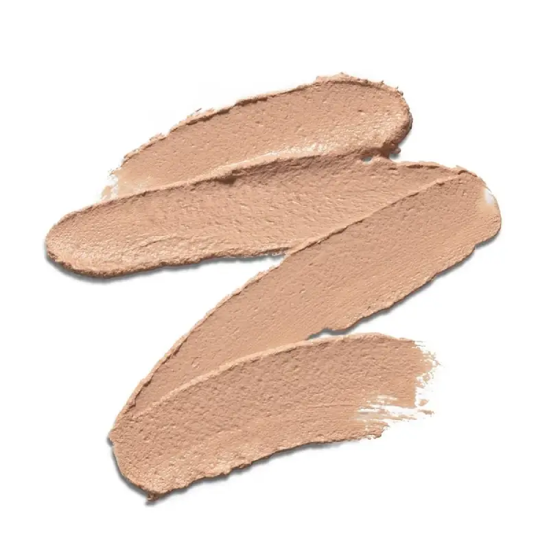 PÂTE GRISE Stick couvrant - PAYOT - correction boutons